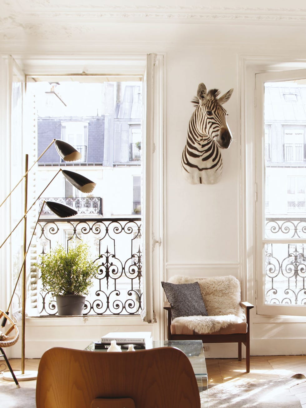 Interior design, Room, Flowerpot, Wall, Floor, Interior design, Zebra, Flooring, Fixture, Houseplant, 
