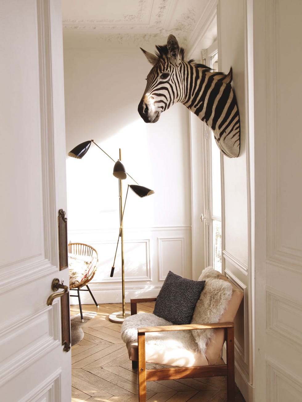 Zebra, Wood, Room, Interior design, Wall, Floor, Hardwood, Flooring, Lamp, Terrestrial animal, 