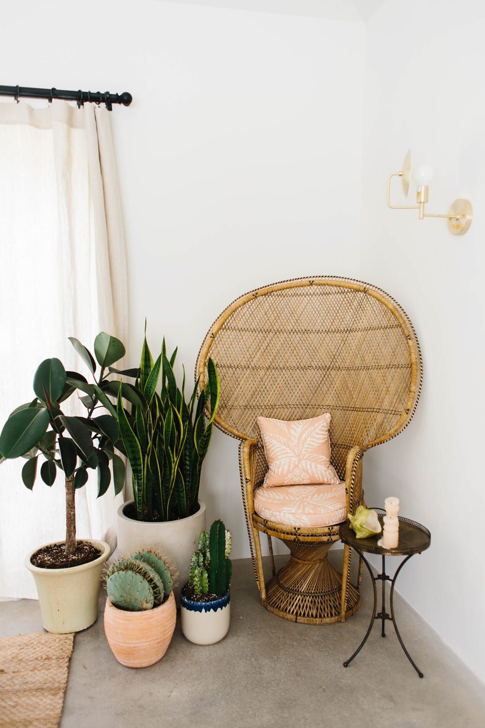 Green, Room, Houseplant, Furniture, Interior design, Yellow, Table, Chair, Wall, Floor, 