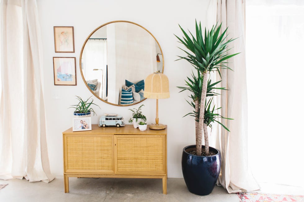 Furniture, Room, Houseplant, Interior design, Plant, Table, Shelf, Chest of drawers, Flowerpot, Architecture, 