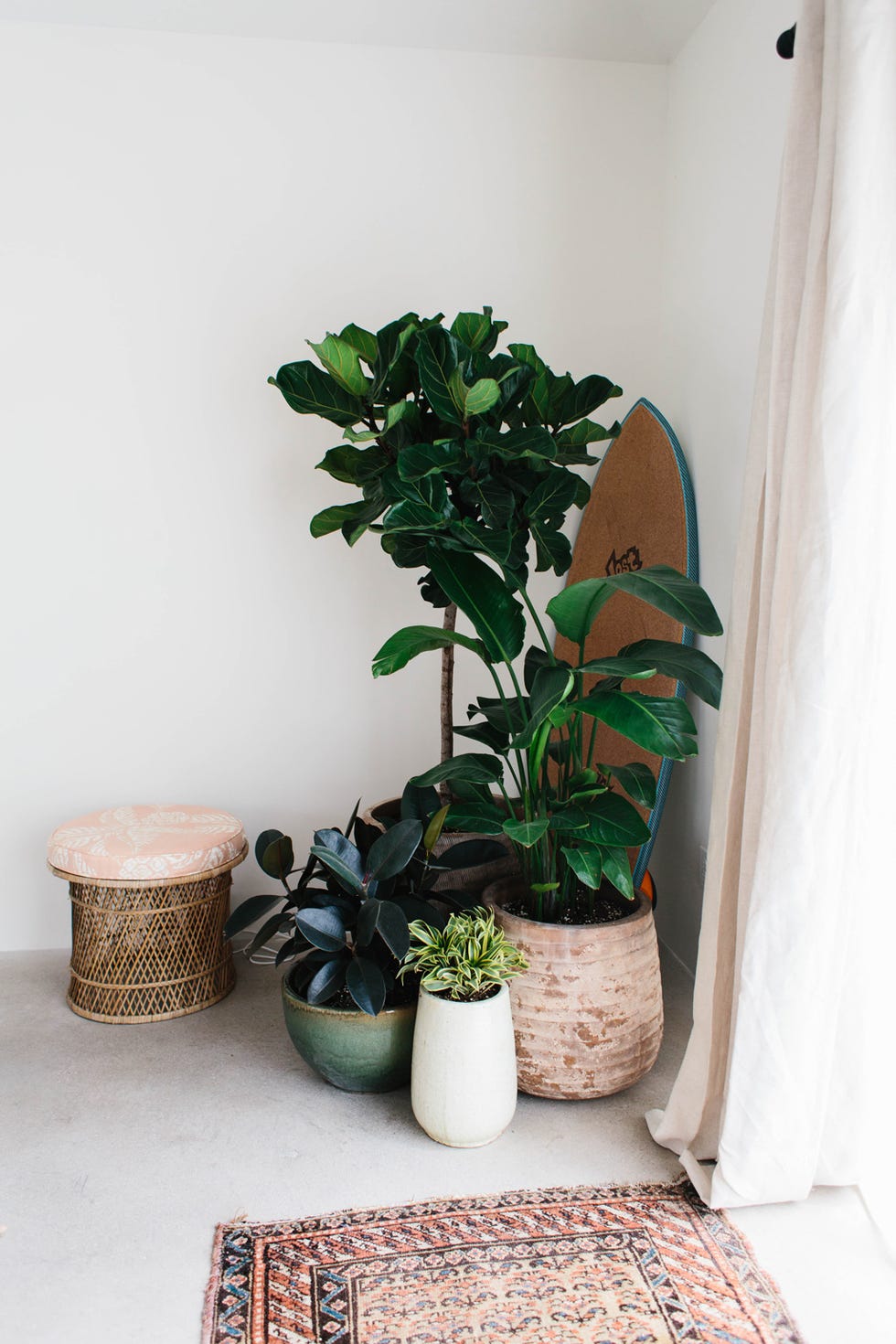 Houseplant, Green, Flowerpot, Plant, Room, Tree, Leaf, Flower, Interior design, House, 