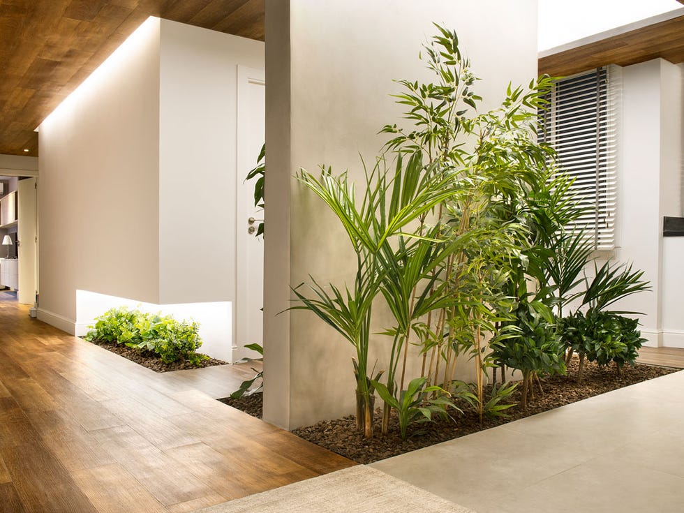 Wall, Property, Green, Room, House, Interior design, Architecture, Real estate, Plant, Building, 