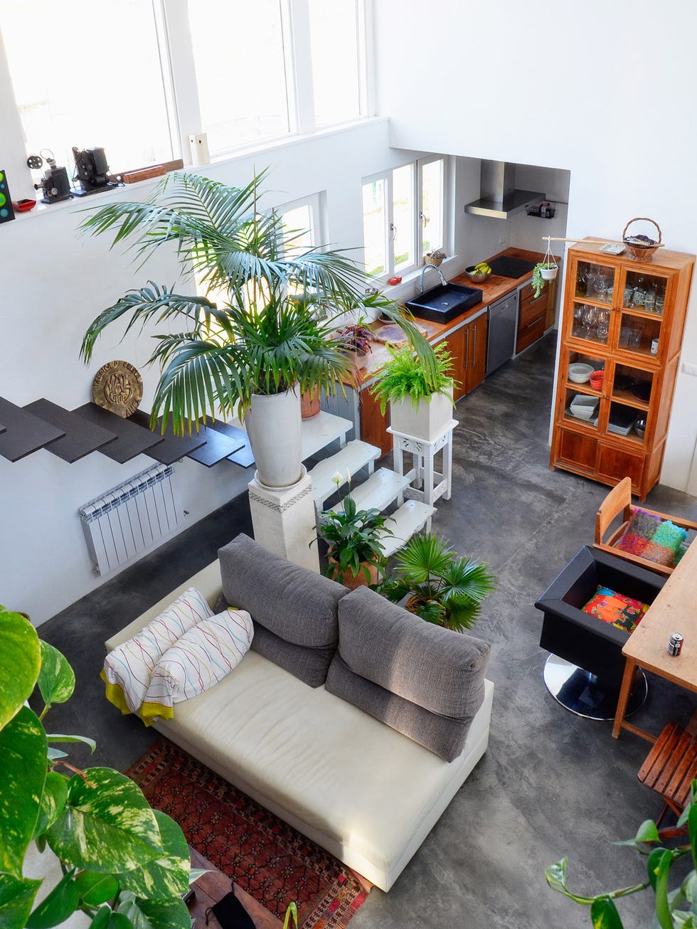 Una casa decorada con muebles antiguos y (muchas) plantas