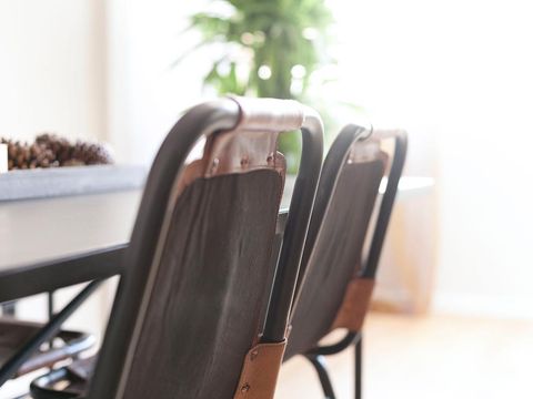 Brown, Chair, Leather, Armrest, Plastic, Houseplant, Folding chair, 