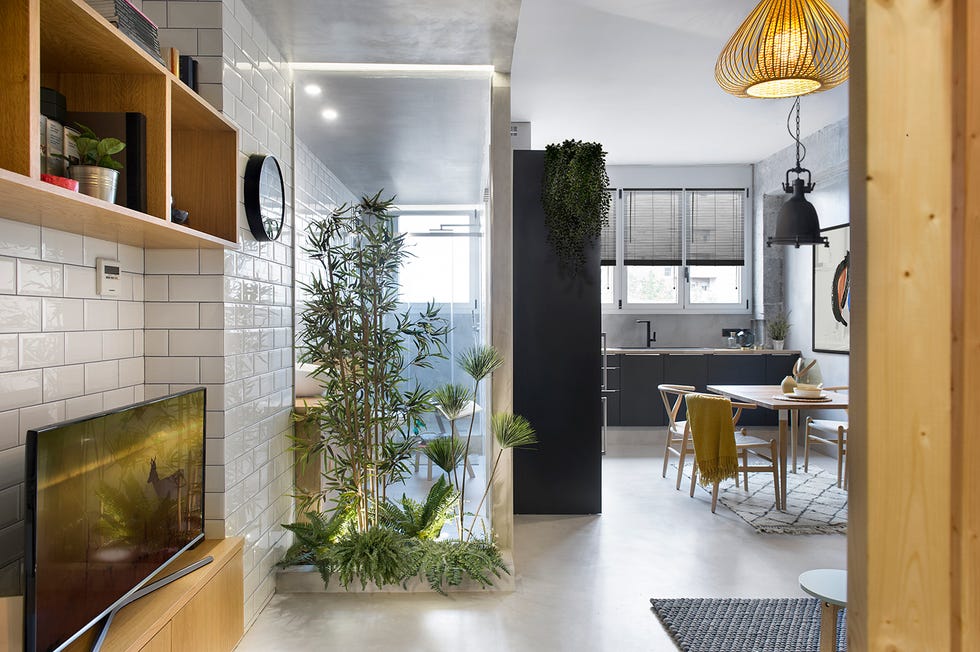 Apartamento 46 m: salón comedor y cocina
