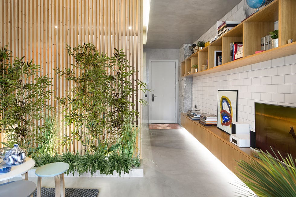 Apartamento 46 m: Pasillo recibidor