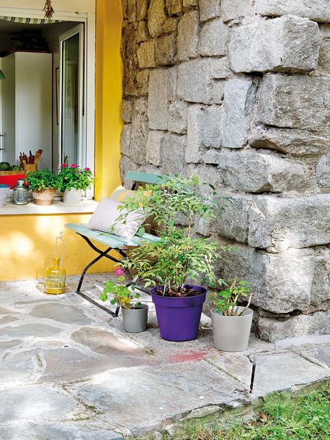 Flowerpot, Wall, Plant, Houseplant, Stone wall, Flower, Brick, Grass, Room, House, 