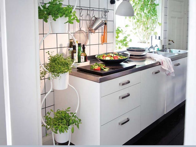 cocina con encimera de acero inox y plantas
