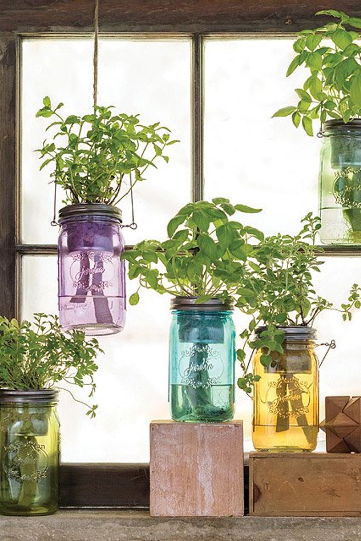 Ideas para decorar tu cocina plantas aromáticas