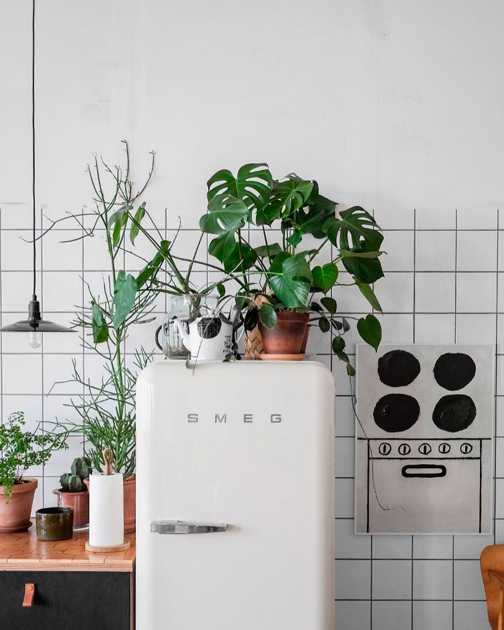 17 ideas prácticas para decorar la cocina con plantas y darle un