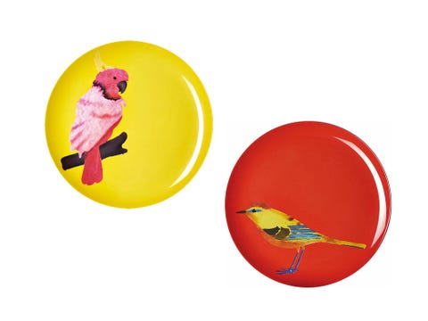 Yellow, Bird, Parrot, Beak, Feather, Peach, Circle, Wing, Coquelicot, Perching bird, 