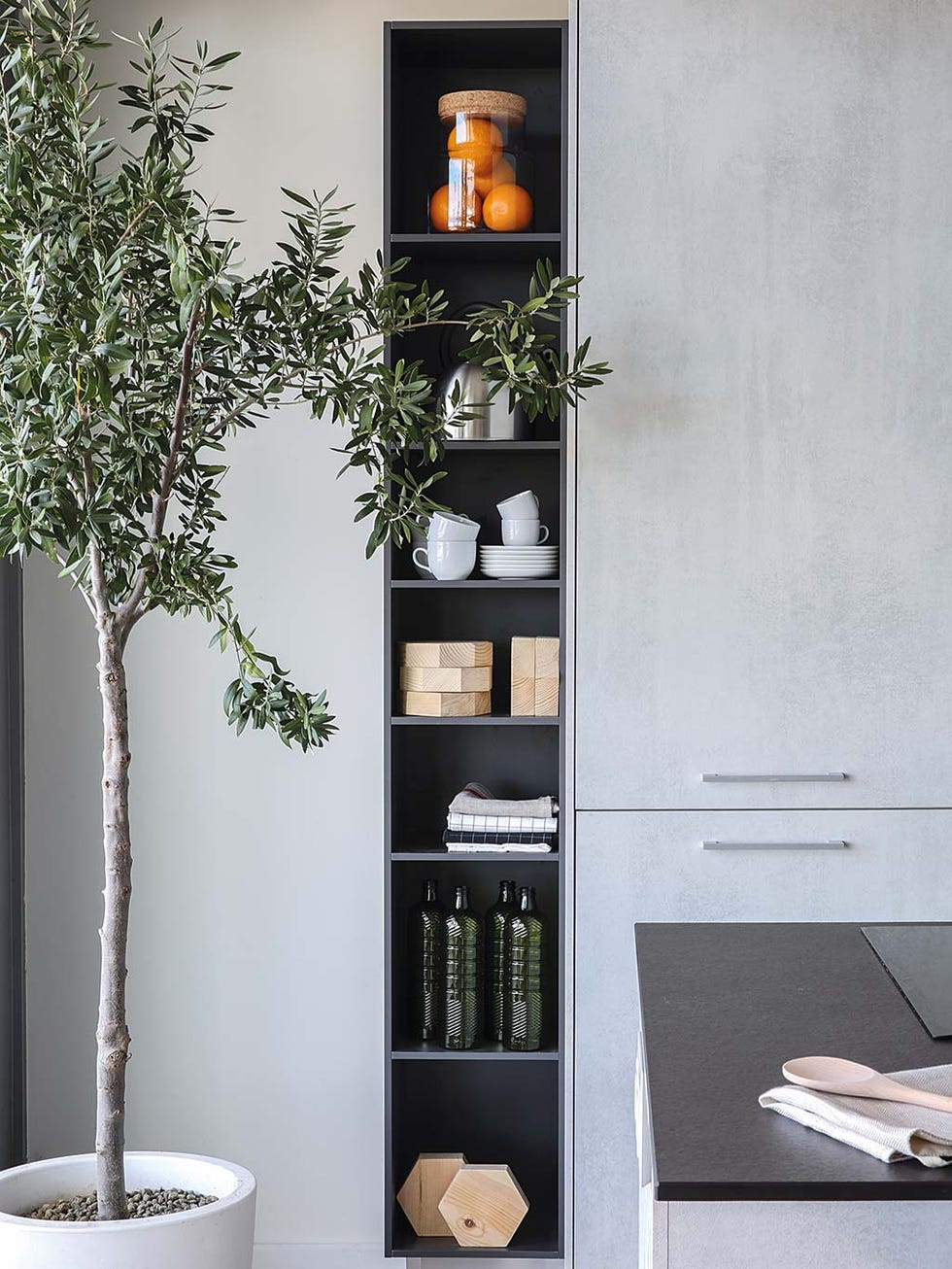Shelf, Shelving, Furniture, Room, Wall, Interior design, Material property, Table, House, Plant, 