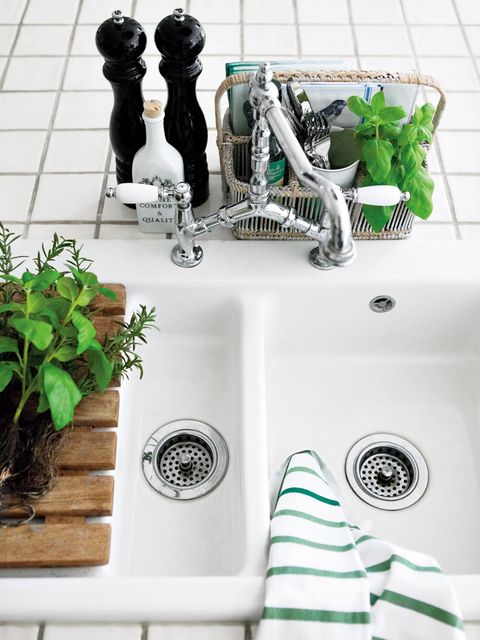Plumbing fixture, Tap, Sink, Plumbing, Interior design, Bathroom accessory, Household supply, Herb, Ceramic, Bathroom sink, 