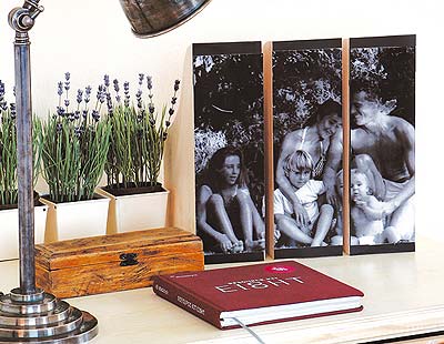 Flowerpot, Publication, Book cover, Book, Houseplant, Painting, Fiction, 