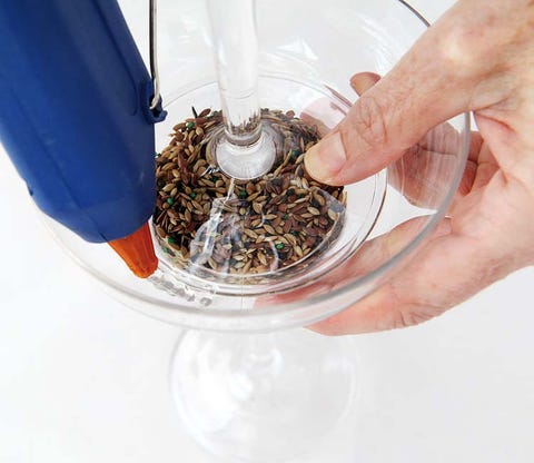 Nail, Pet supply, Transparent material, 