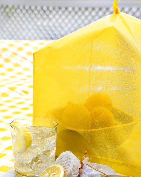 Yellow, Lemon, Citrus, Meyer lemon, Drink, Mesh, Fruit, Ingredient, Lemon peel, Sweet lemon, 