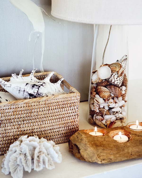 decoración con conchas de mar