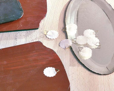 Wood, Brown, Petal, Hardwood, Wood stain, Tan, Beige, Varnish, Plywood, Wood flooring, 
