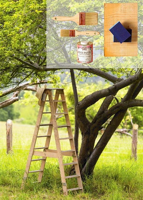 Wood, Land lot, Grass family, Grassland, Pasture, Meadow, Prairie, Easel, 