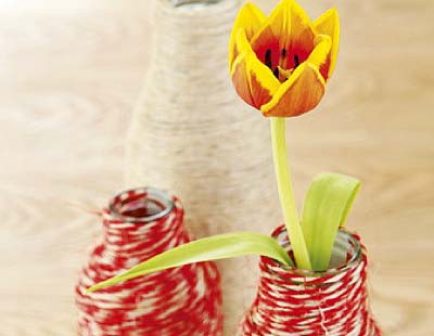 Yellow, Petal, Flower, Botany, Flowering plant, Terrestrial plant, Orange, Plant stem, Flowerpot, Wildflower, 