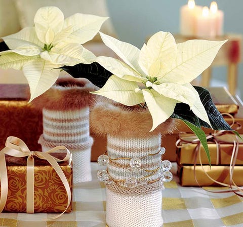 Petal, Flower, Ribbon, Cut flowers, Present, Party supply, Bag, Floral design, Flower Arranging, Flowering plant, 