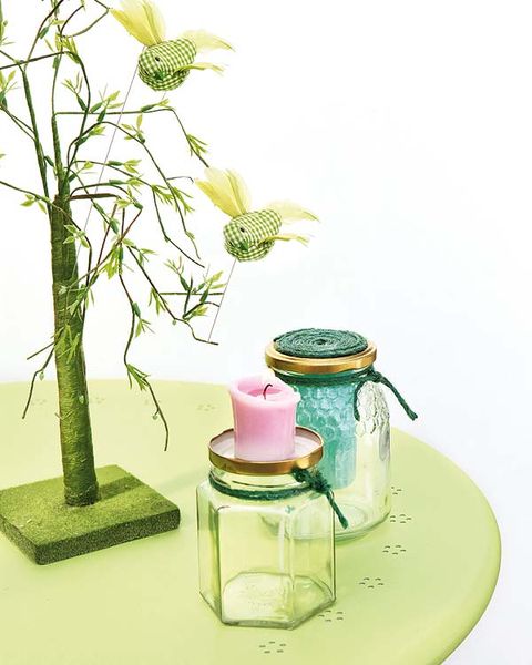 Serveware, Liquid, Botany, Still life photography, Twig, Interior design, Vase, Trunk, Plant stem, Artifact, 