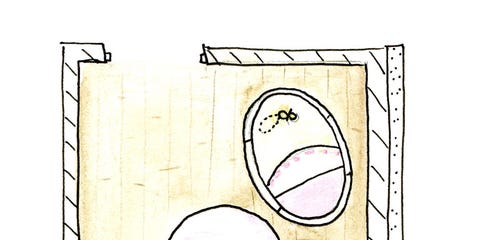 Illustration, Drawing, Diagram, Egg, Painting, Paper, Illustration, Drawing, Diagram, Egg, Painting, Paper,