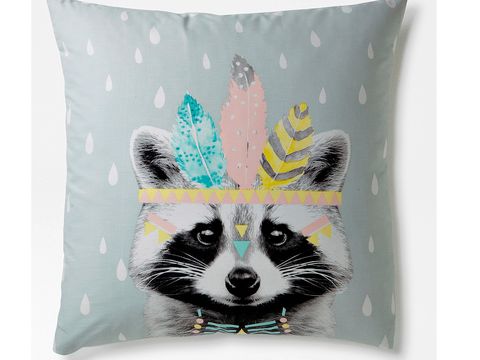Pillow, Cushion, Green, Furniture, Throw pillow, Textile, Linens, Font, Home accessories, Procyonidae, 