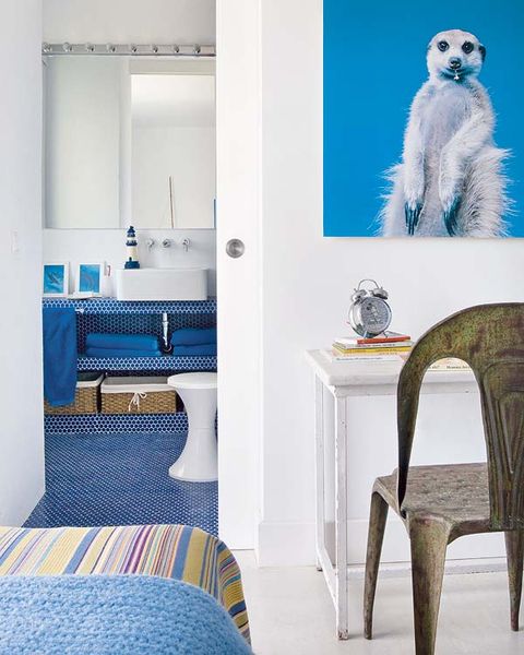 Blue, Room, Interior design, Textile, Floor, Furniture, Carnivore, Wall, Bed, Linens, 