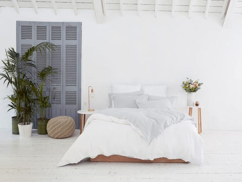 Room, Bed, Interior design, Wall, Flowerpot, Bedding, Linens, Bedroom, Bed sheet, Real estate, 