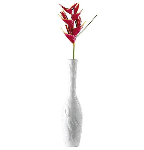 Flower, Flowering plant, Kitchen utensil, Plant stem, Drawing, Coquelicot, 