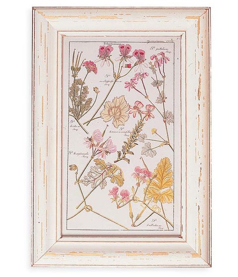 Flower, Art, Botany, Rectangle, Visual arts, Floral design, Painting, Peach, Creative arts, Illustration, 