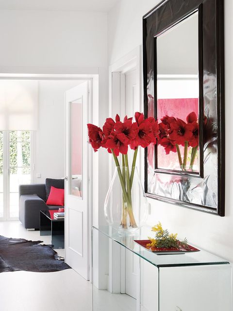 Room, Interior design, Petal, Flower, Wall, Interior design, Floor, Glass, Fixture, Cut flowers, 
