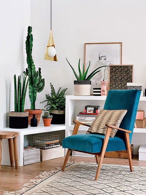 rincón de lectura con plantas y butaca con asiento de terciopelo azul