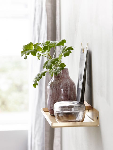 Serveware, Glass, Vase, Artifact, Still life photography, Pottery, Interior design, earthenware, Annual plant, Plant stem, 