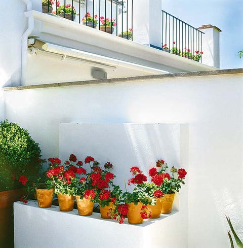 Plant, Flowerpot, Wall, Interior design, Paint, Houseplant, Shrub, Floristry, Flower Arranging, Floral design, 