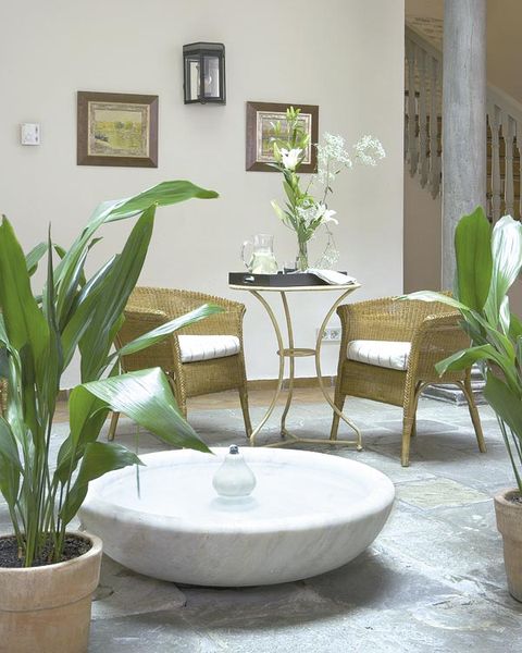 Plant, Flowerpot, Interior design, Room, Table, Floor, Interior design, Flooring, Home, Picture frame, 