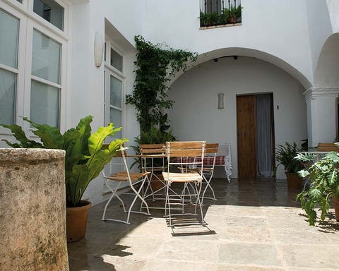 Plant, Flowerpot, Property, Real estate, Fixture, Door, House, Houseplant, Arch, Courtyard, 