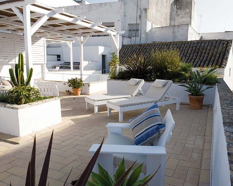 Plant, Property, Real estate, Outdoor furniture, House, Flowerpot, Residential area, Terrestrial plant, Backyard, Home, 