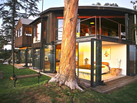Tree, Home, House, Real estate, Woody plant, Trunk, Residential area, Yard, Backyard, Lawn, 