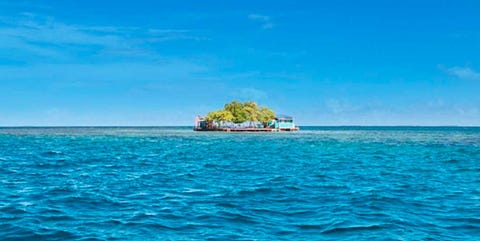 Isla de alquiler Isla de alquiler