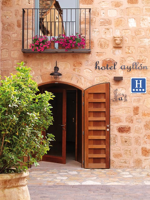 Plant, Wood, Wall, Door, Flowerpot, Fixture, Home door, Balcony, Hardwood, Houseplant, 