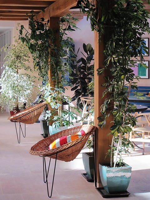 Flowerpot, Interior design, Houseplant, Vase, Floral design, Plant stem, Pottery, Anthurium, Basketball hoop, 