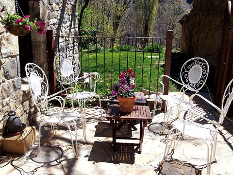 Flowerpot, Table, Furniture, Petal, Garden, Outdoor table, Shrub, Backyard, Coffee table, Yard, 