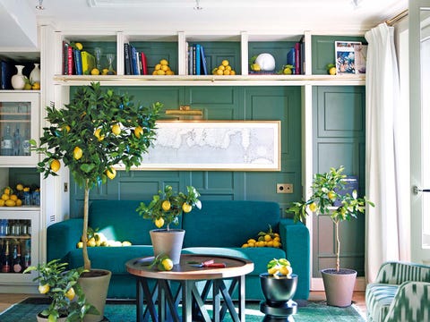 Flowerpot, Blue, Plant, Green, Interior design, Room, Shelving, Interior design, Table, Wall, 