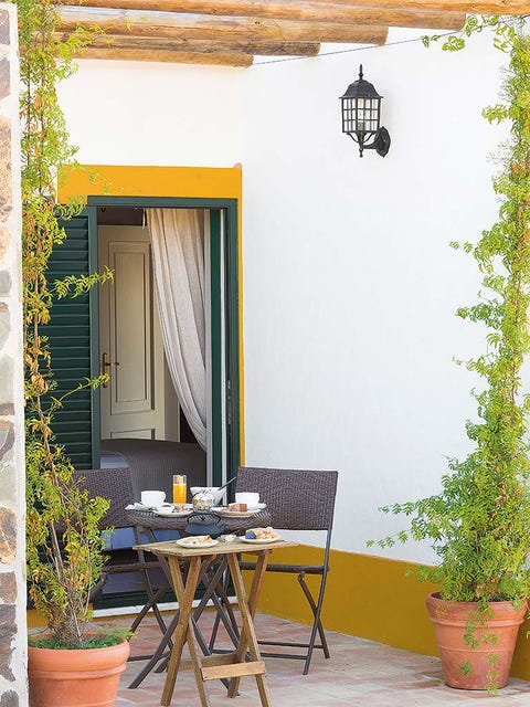 Flowerpot, Table, Wall, Furniture, Outdoor table, Interior design, Interior design, Fixture, Outdoor furniture, Houseplant, 