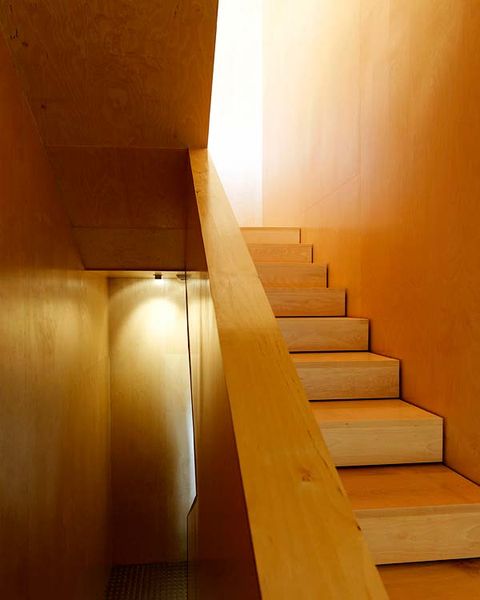 Wood, Yellow, Amber, Light, Stairs, Orange, Tints and shades, Hardwood, Wood stain, Tan, 