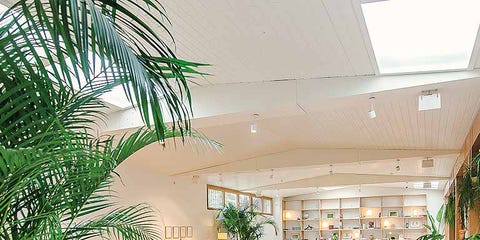 Plant, Interior design, Flowerpot, Floor, Furniture, Table, Ceiling, Interior design, Real estate, Flooring, Plant, Interior design, Flowerpot, Floor, Furniture, Table, Ceiling, Interior design, Real estate, Flooring,