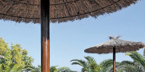 Furniture, Outdoor furniture, Table, Drinkware, Drink, Bottle, Shade, Resort, Outdoor table, Tropics, Furniture, Outdoor furniture, Table, Drinkware, Drink, Bottle, Shade, Resort, Outdoor table, Tropics,