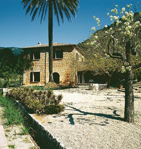 Property, Tree, House, Real estate, Woody plant, Land lot, Home, Shade, Arecales, Shadow, 